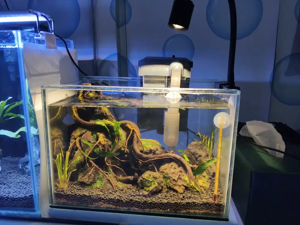 Aquascape fullset