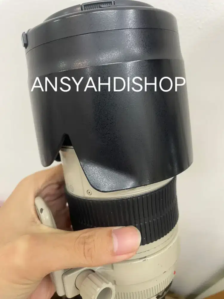 Canon EF 70-200mm f2.8 L IS II
