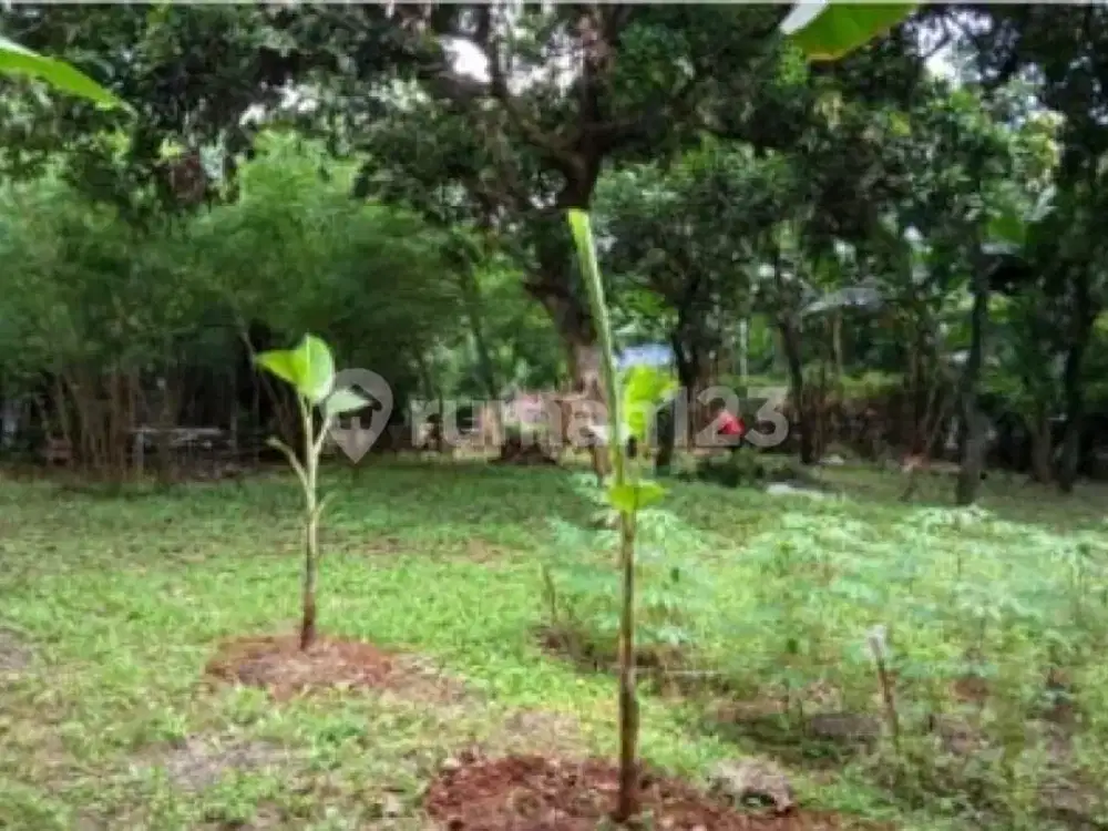 Dijual Kavling Siap Bangun di Lebak Bulus Cocok Dijadikan Townhouse