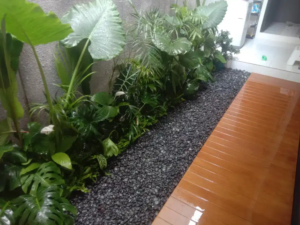 Jasa tukang taman arjun