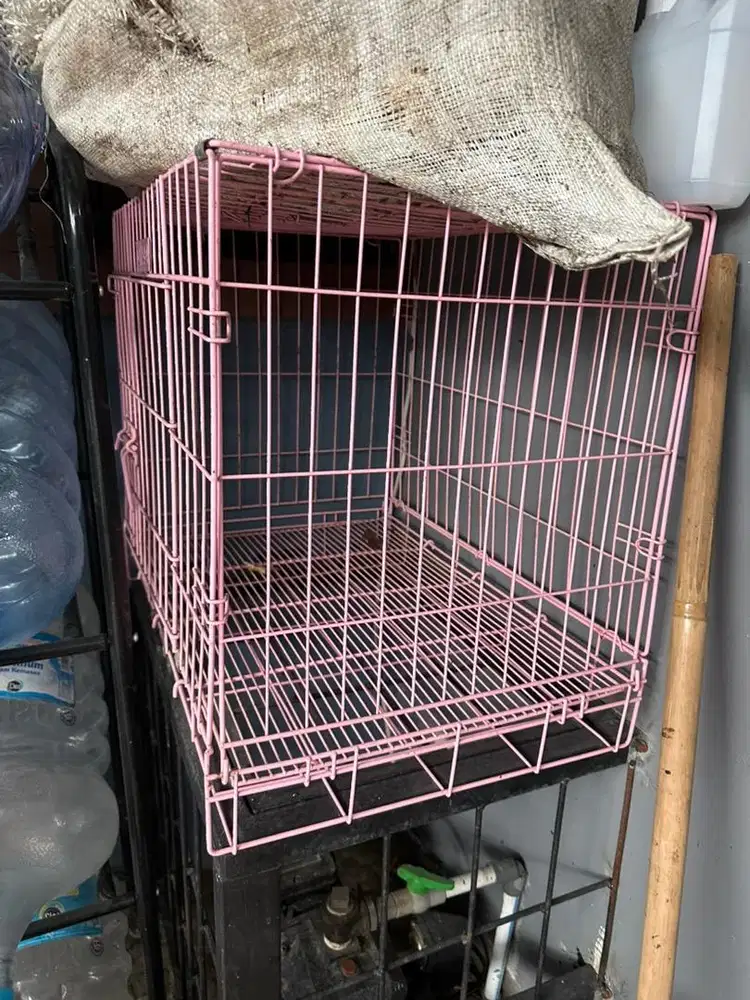 Kandang kucing dan kandang hamster