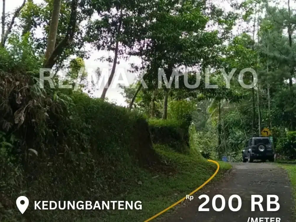 Dijual Tanah Pertanian Seluas 14.798 m2 Area Kedungbanteng