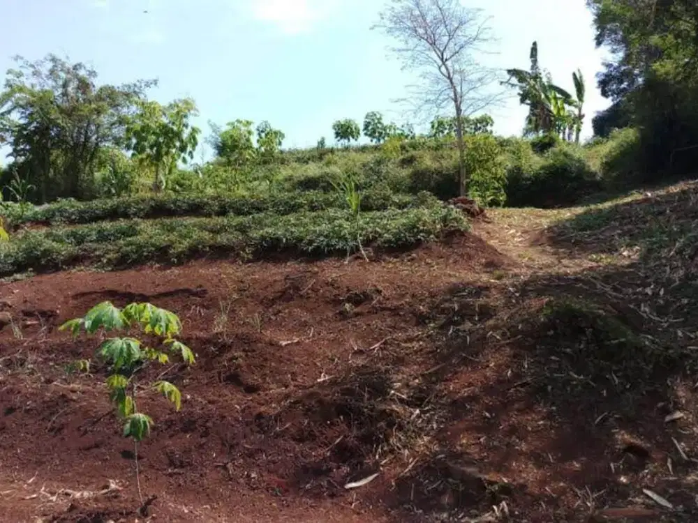 DIJUAL LAHAN TERMURAH MAINROAD UNPAD JATINANGOR SUMEDANG