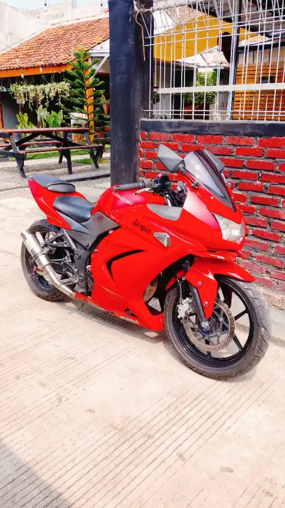 Ninja 250 karbu