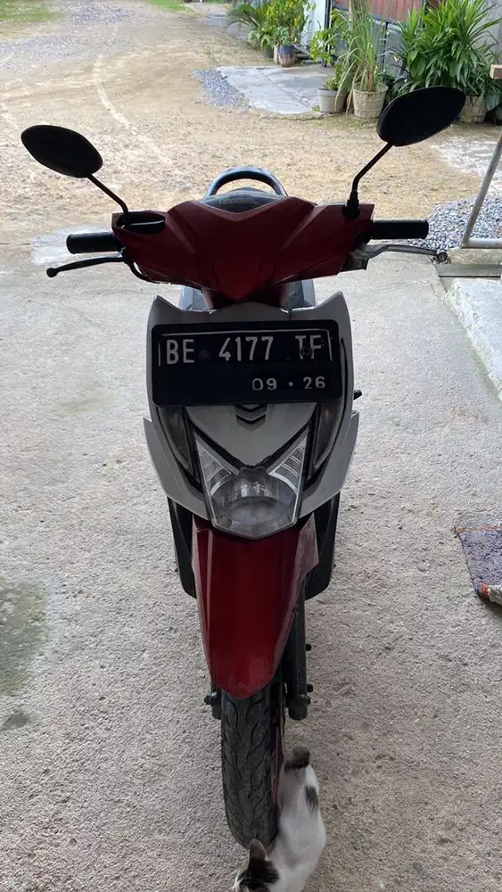 Beat 2015 Stater alus