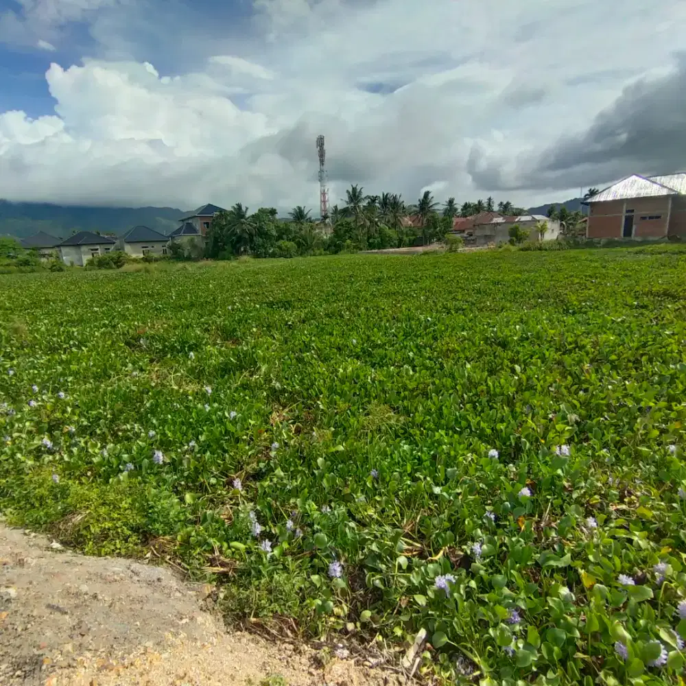 Tanah 3000 meter di MIBO