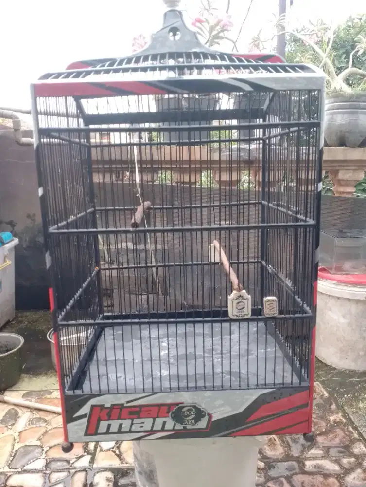 Kandang no 2 Ebod stiker