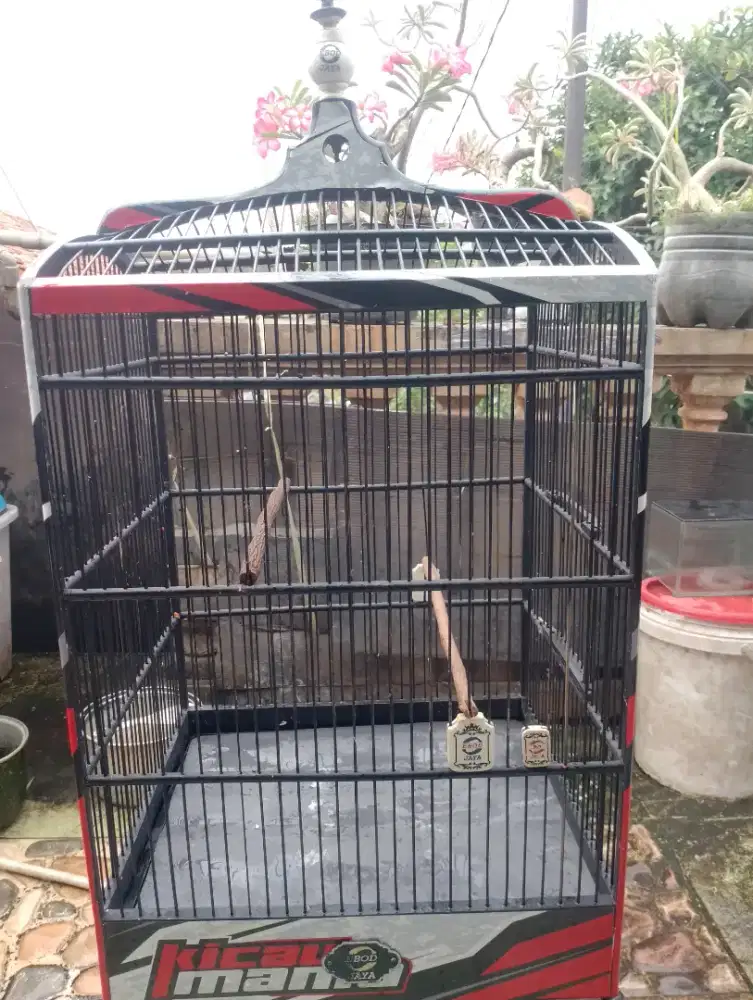 Kandang no 2 Ebod stiker