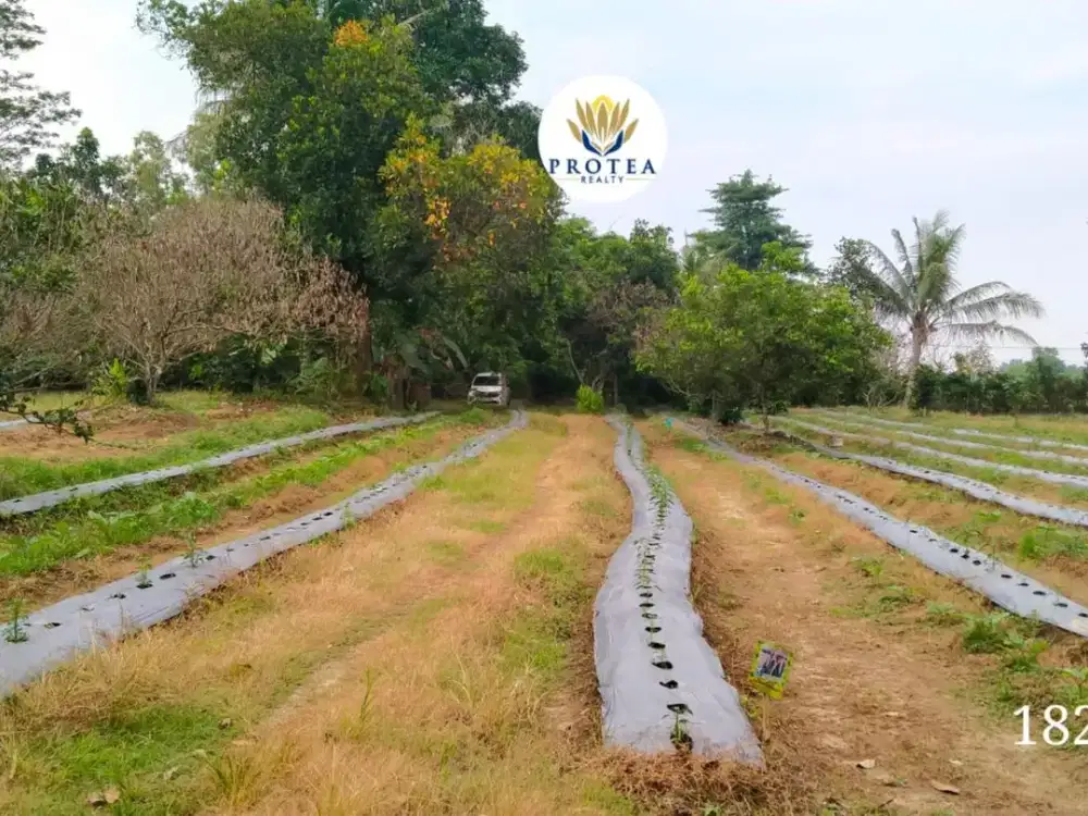 Dijual Kavling Cocok Untuk Perumahan 15 Menit ke stasiun Walantaka Serang