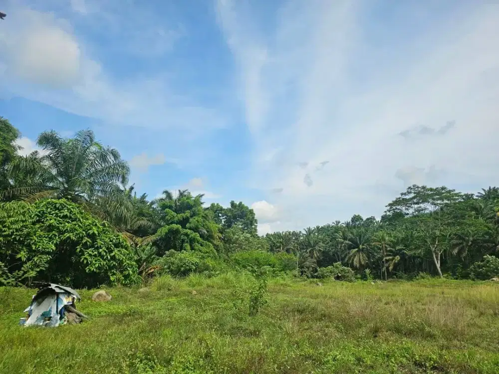 Dijual Tanah Lahan Luas Sibaganding Bangun Purba Deli Serdang