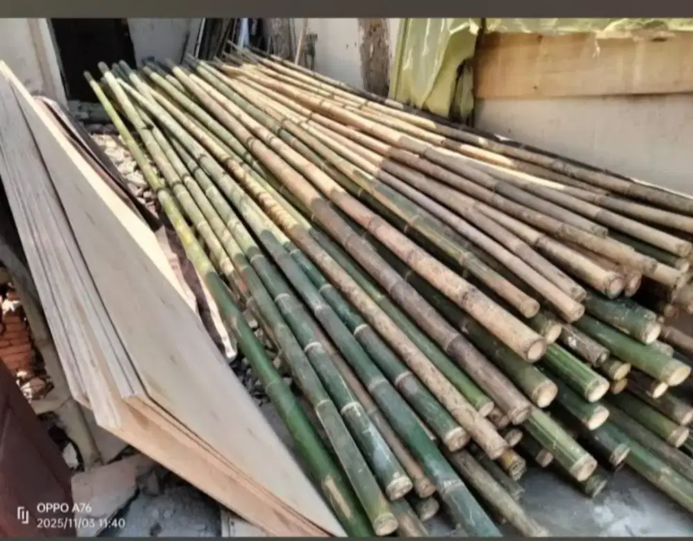 Jual Bambu Stger 8 cm