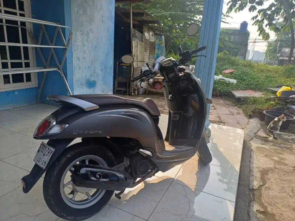 Honda scoopy 2019