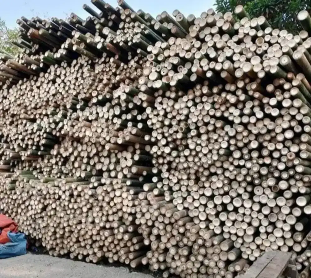 Jual Bambu Stger Bambu Tali