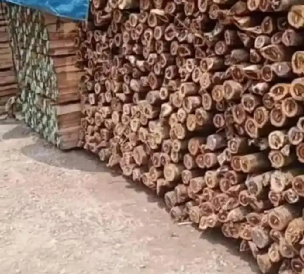 Jual Kaso Papan Cor Bambu Triplek