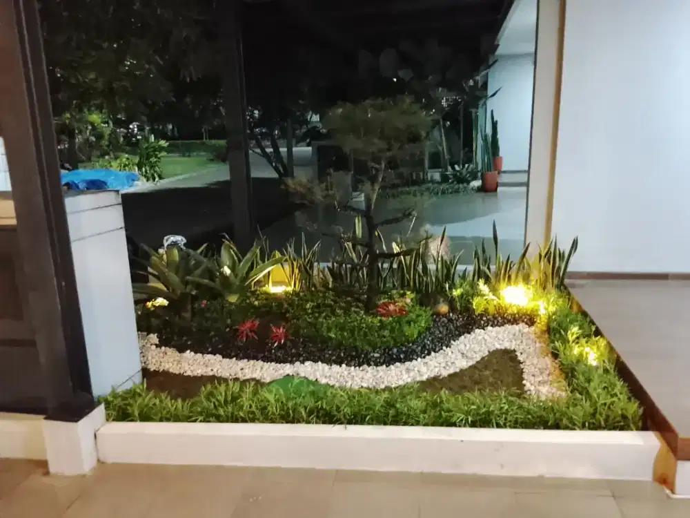 Jasa pembuatan taman rumah minimalis taman rumput
