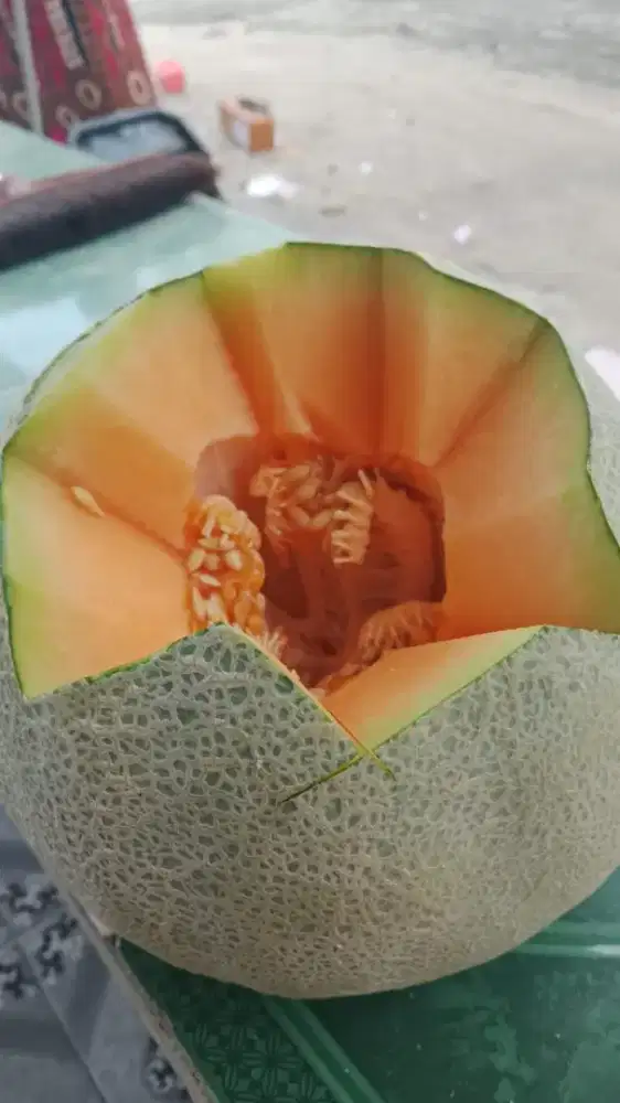 Melon F1 orange