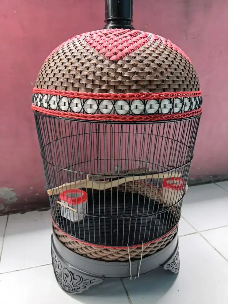 Sangkar perkutut