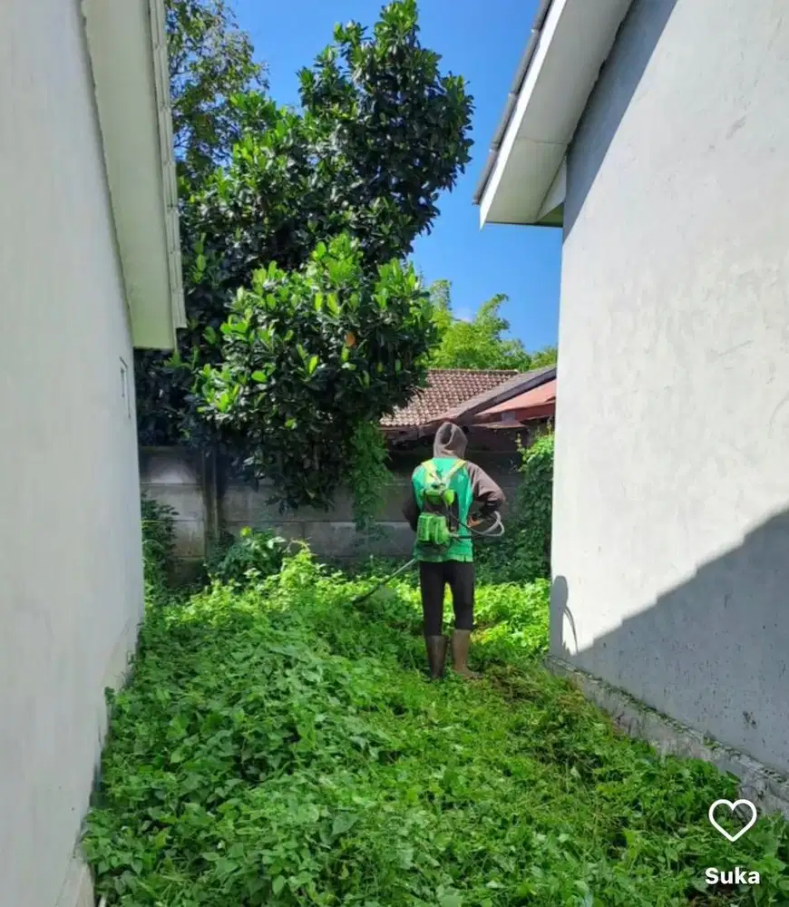 jasa bersih rumah dan halaman