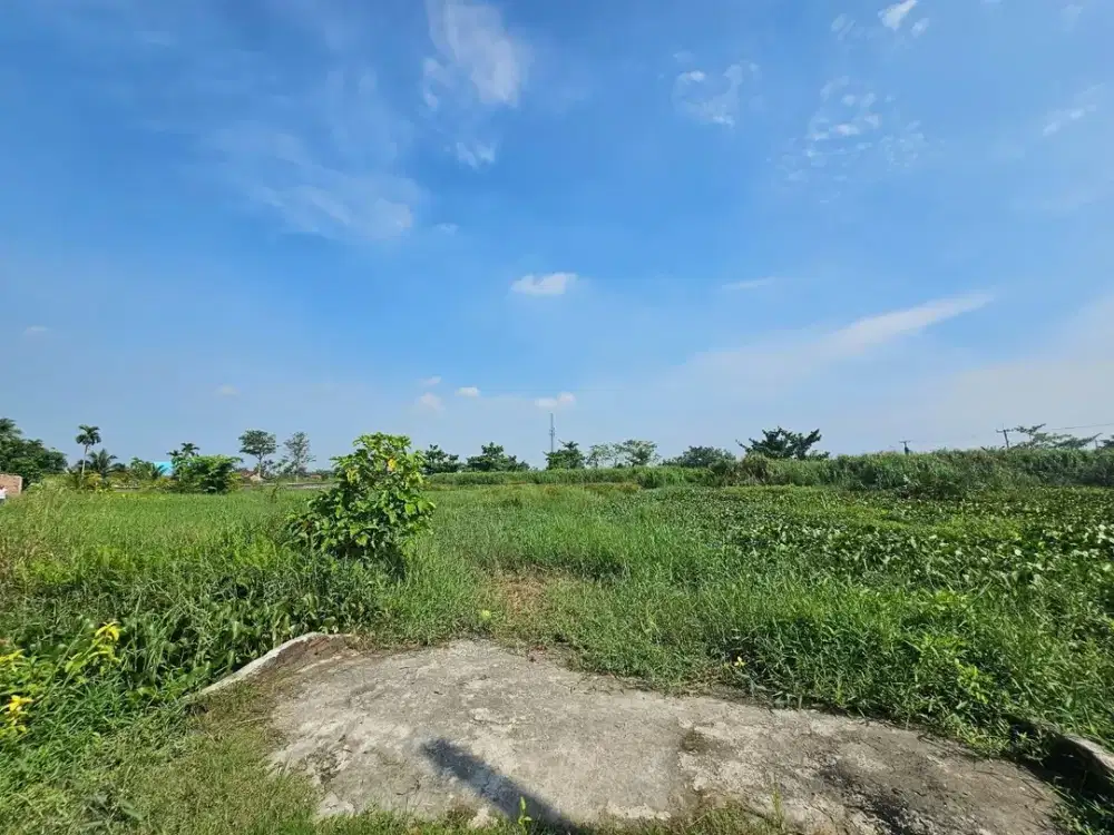 Dijual Tanah Murah Jalan Rawe Martubung Komplek Btn Al