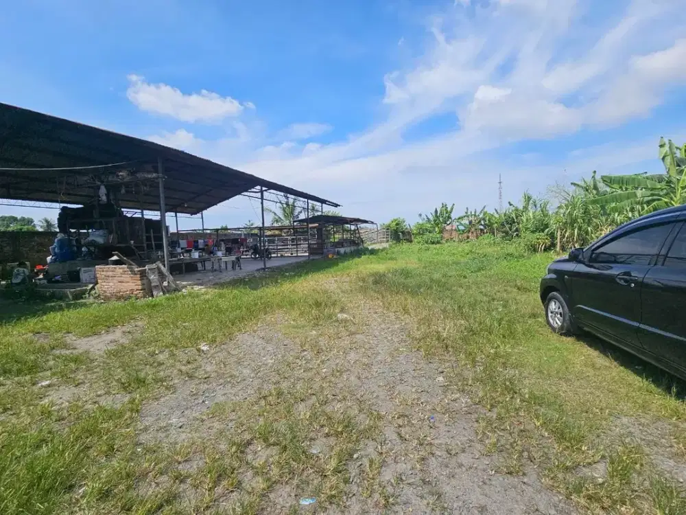Dijual Tanah Murah Cepat Lahan Tanjung Morawa Wonosari