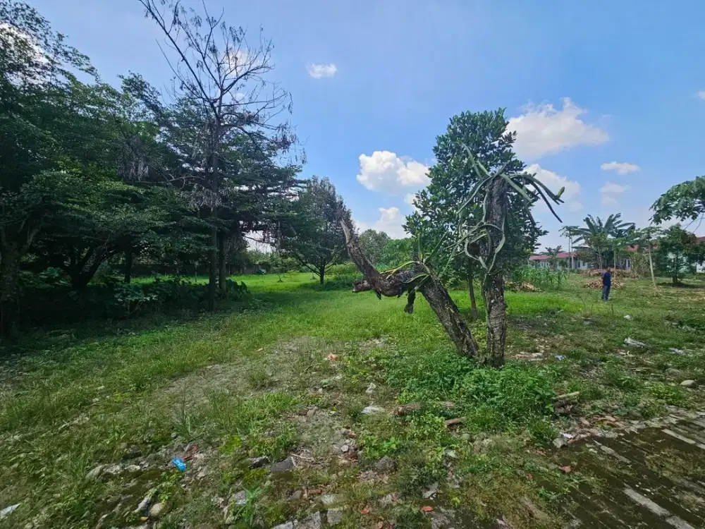 Dijual Cepat Tanah Jl. Glugur Rimbun Daerah Pancur Batu