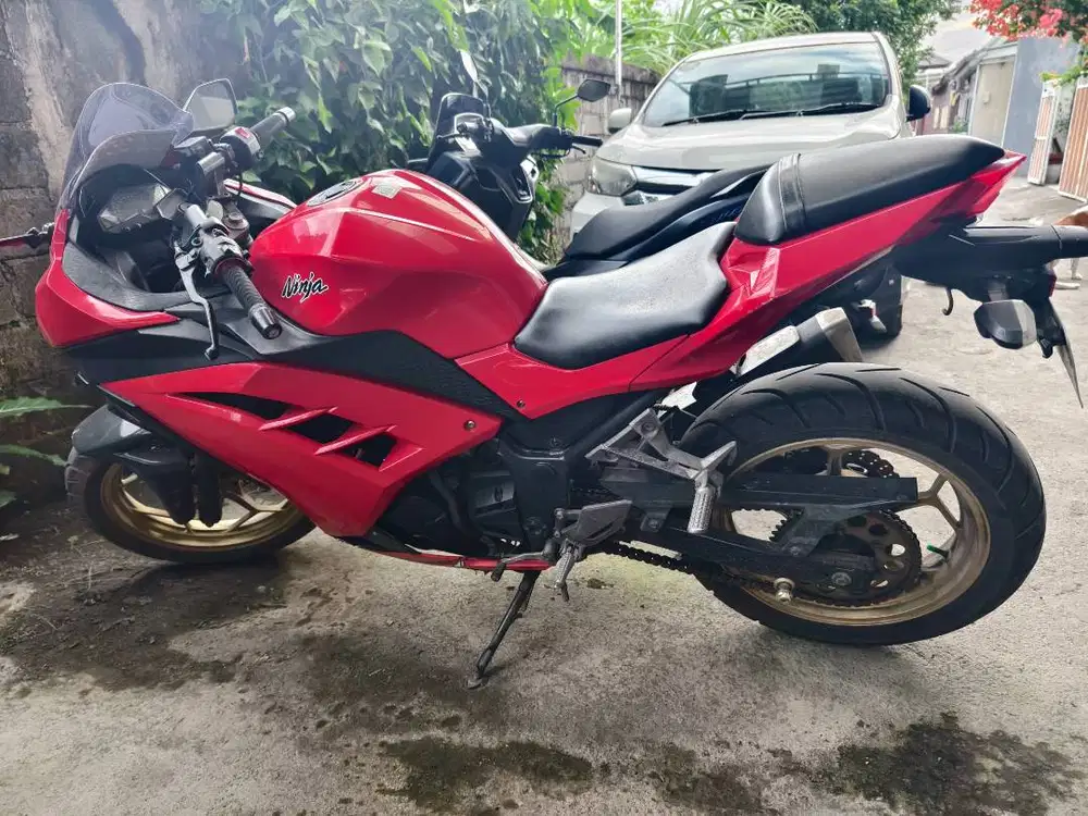 Kawasaki Ninja 250 Fi, 2016