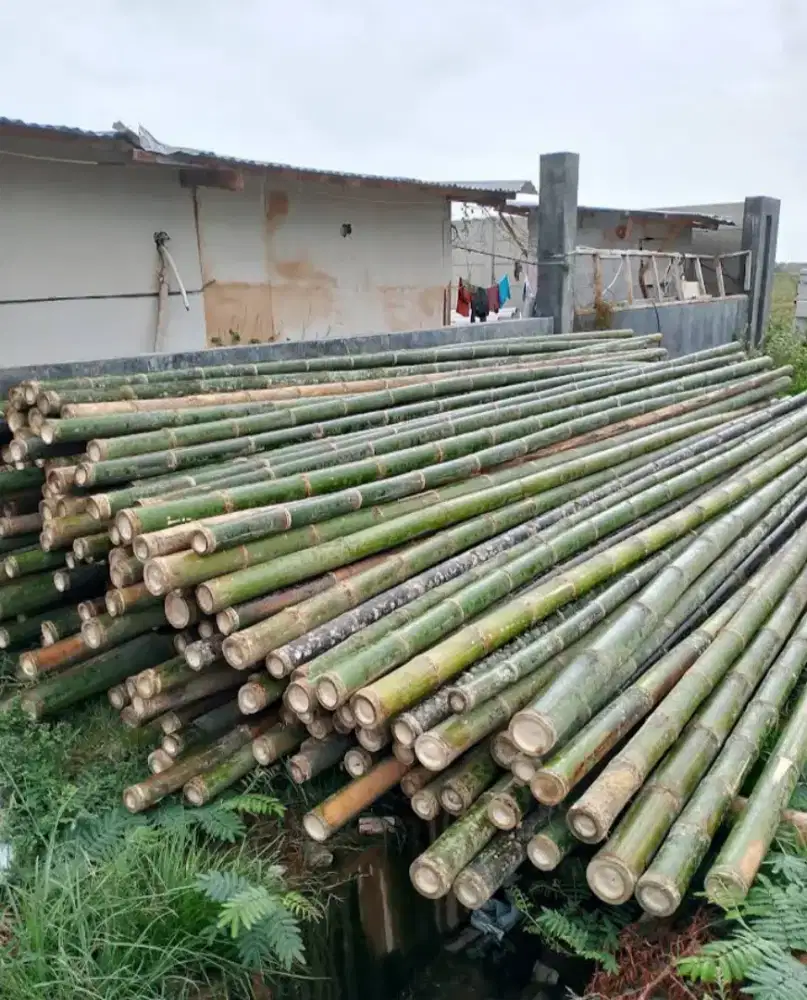 Jual Bambu Kayu Papan Cor