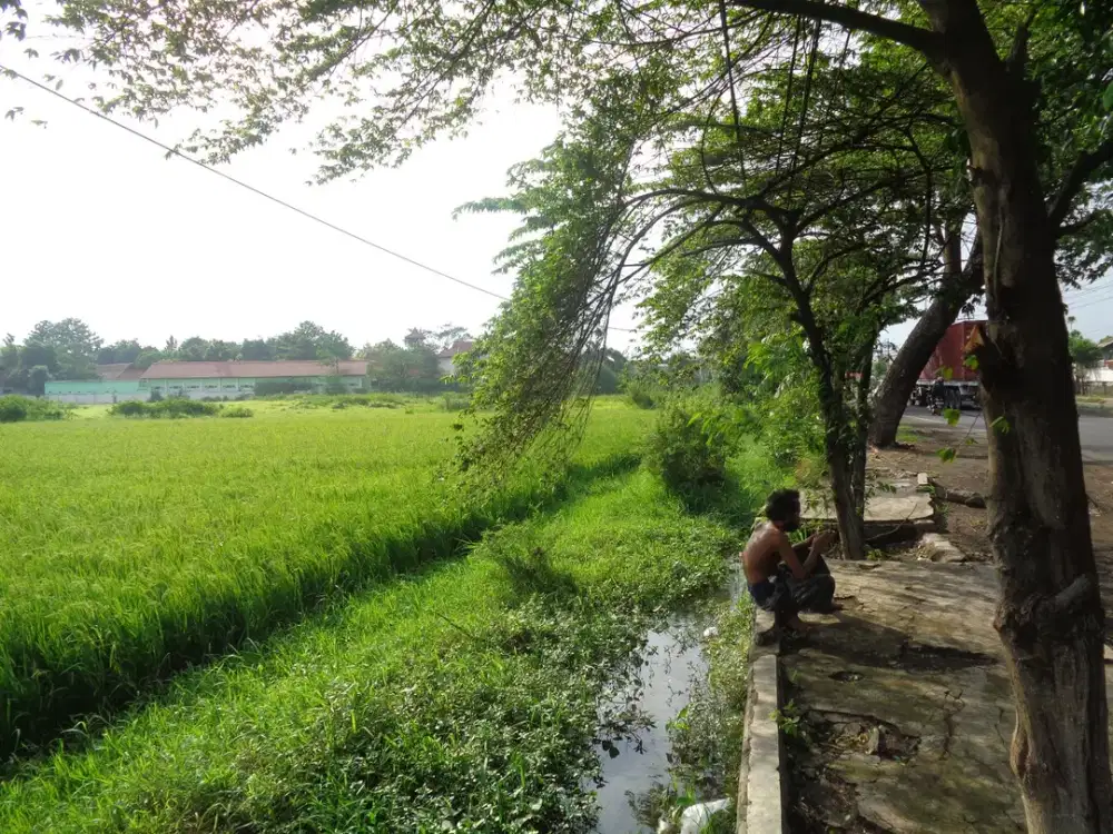 Dijual  Tanah Seluas 14.010 m2 Seharga Rp 4,7M - Pasuruan