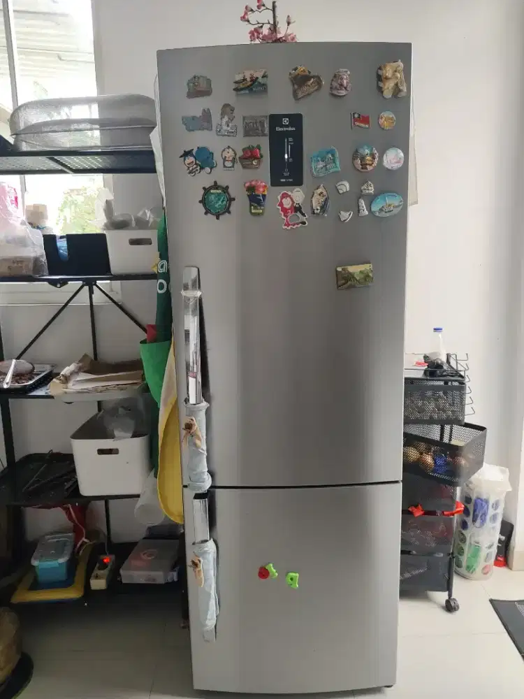 Electrolux kulkas 2pintu