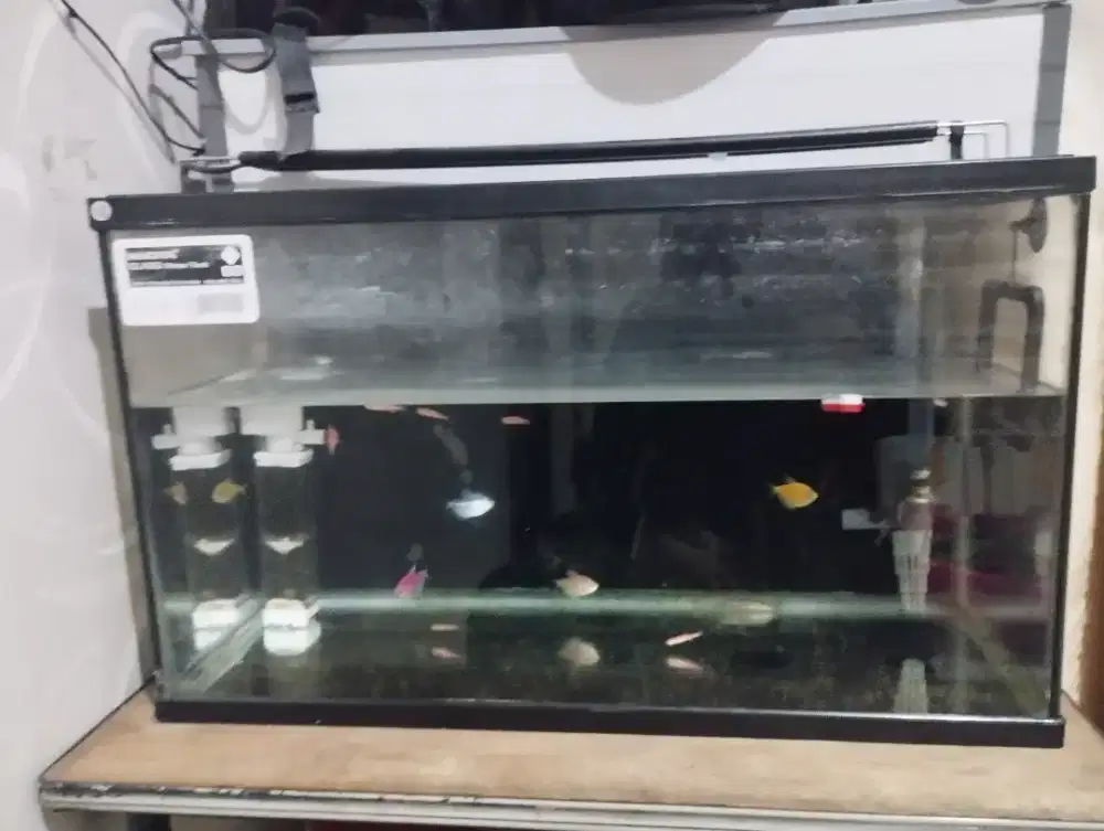 Aquarium Nikita