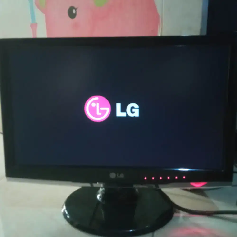 LCD Monitor LG 19in Wide (W1953W)