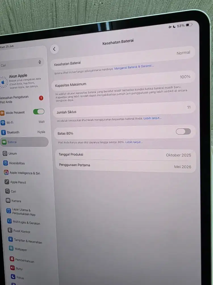 IPAD PRO M4 13INC 2TB SILVER WIFI SECOND RESMI IBOX MULUS FULLSET