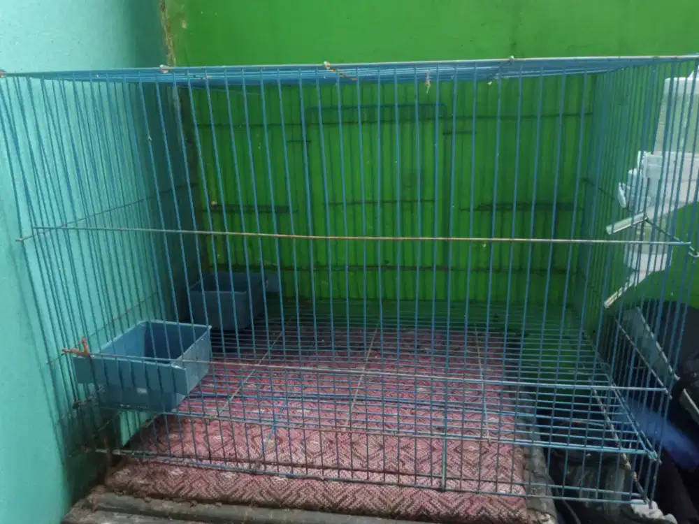 Kandang kucing/kelinci