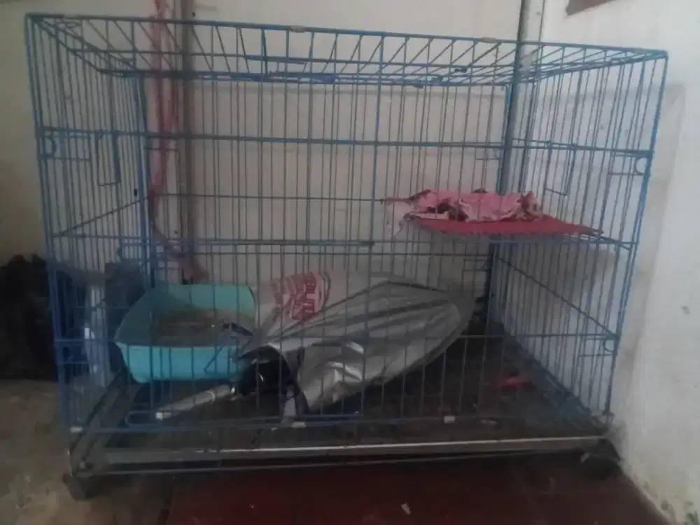 Dijual kandang kucing