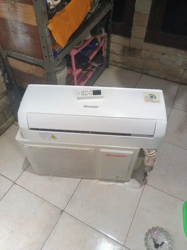 AC Sharp 1/2PK like New