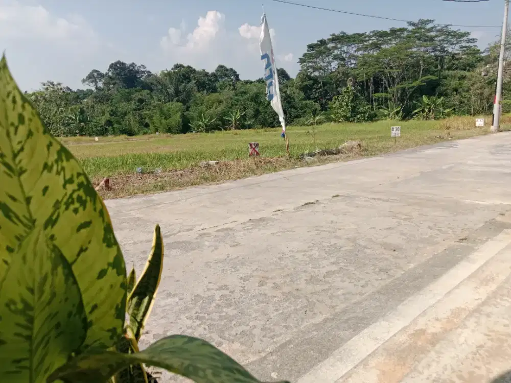 KAVLING UNNES SIAP BANGUN JALAN LEBAR  SHM READY