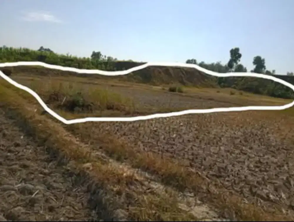 DIJUAL CEPAT TANAH SAWAH NEGO SAMPAI JADI