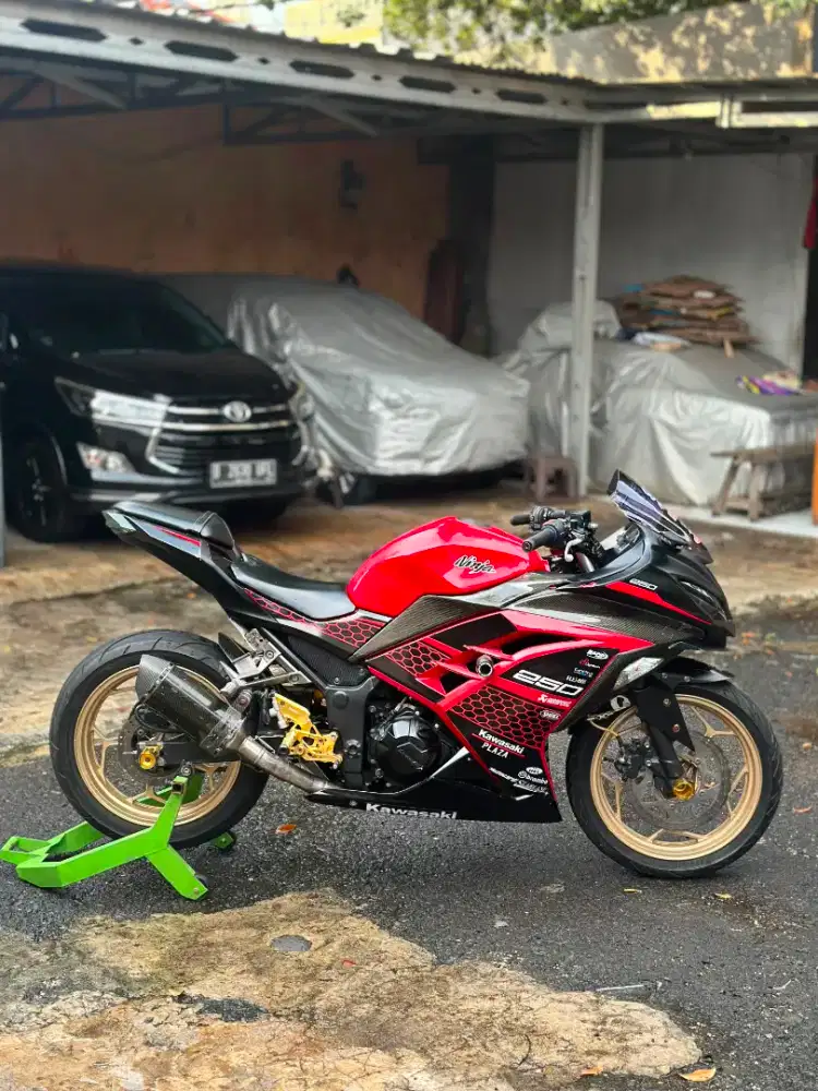 Kawasaki Ninja 250 fi 2slinder 2013