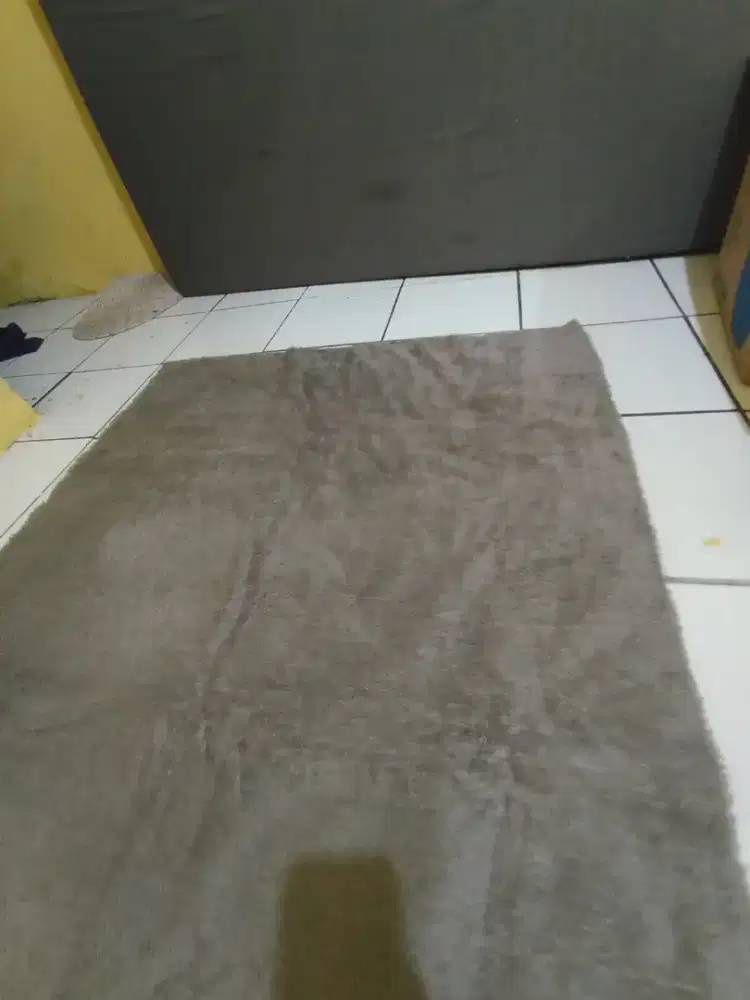 Karpet bulu masih bagus