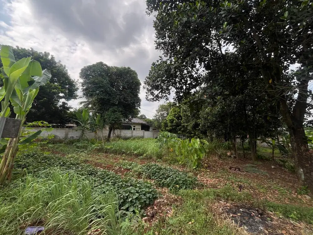 Dijual cepat lahan kebun di Dusun Malingping Cileungsi