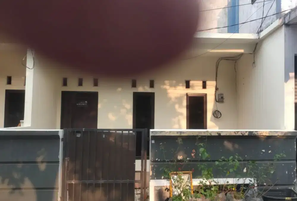 Rumah di sewakan