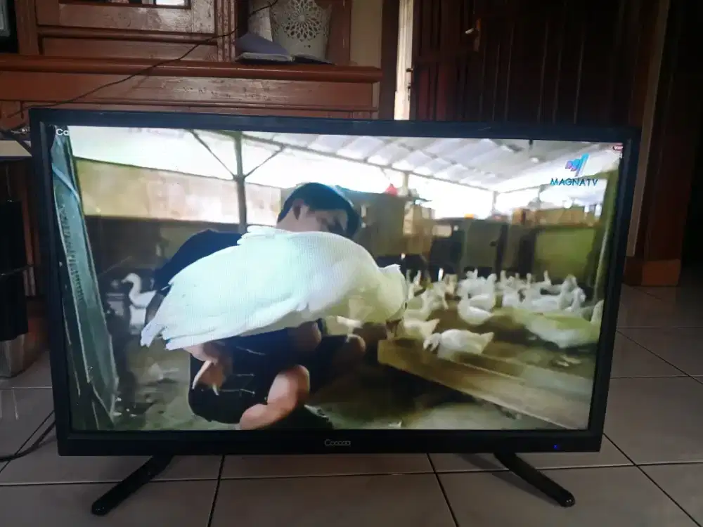 Tv Coocaa 32inch Analog