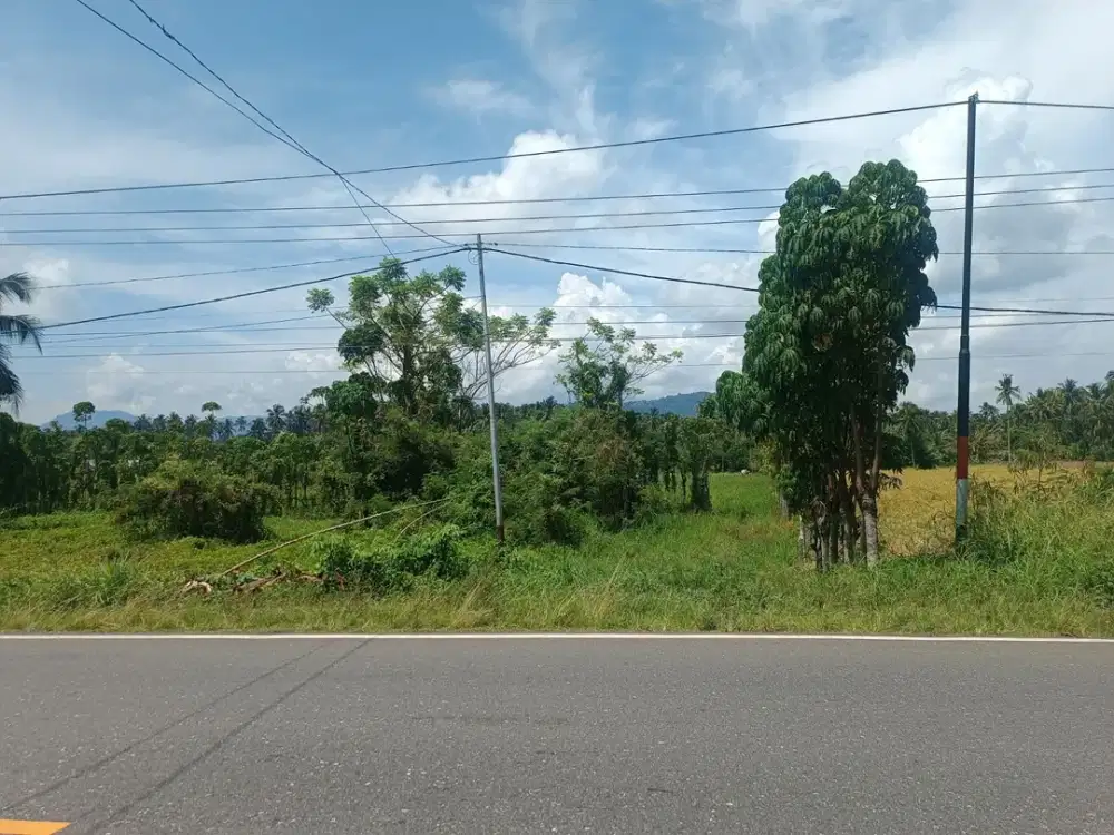Dijual Tanah Seluas 9.758 m2 Seharga Rp 167 jt di Bolaang Mongondow