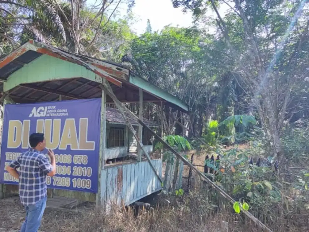 Dijual Lahan Seluas 4,5H di Kalimantan Tengah - Cocok untuk Perkebunan!