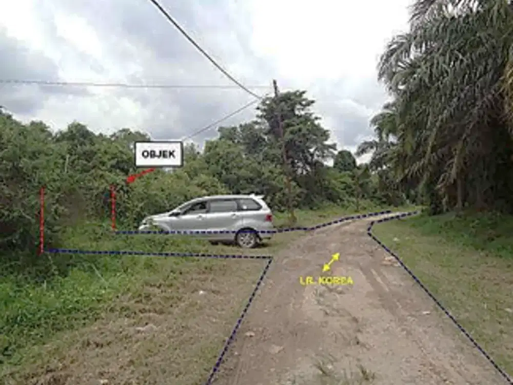 Dijual Tanah Seluas 102.648 m2 Seharga 3,6 M di Banyuasin - Sumsel