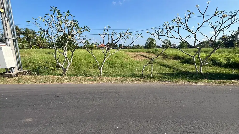 Disewakan tanah di tabanan yeh gangga