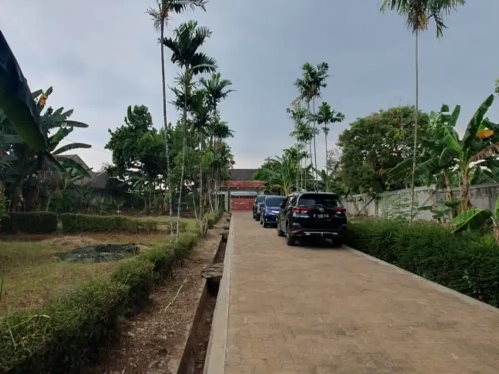 Lelang Murah Tanah Luas Strategis Di Rempoa Ciputat Timur Tangerang Selatan