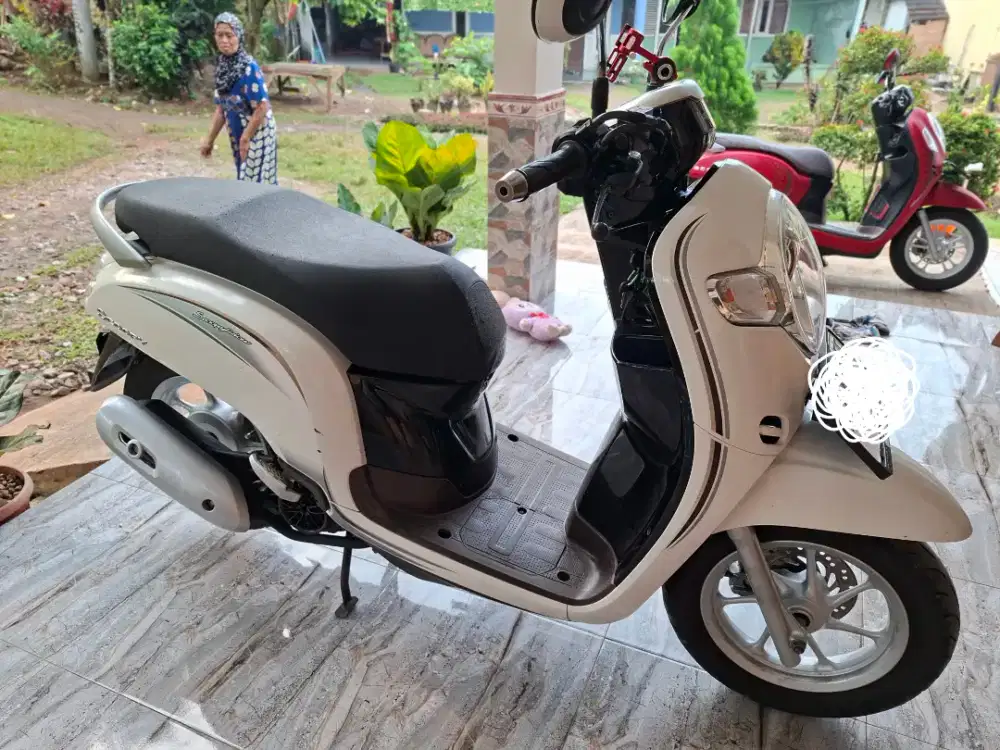 Honda scoopy donat 2018