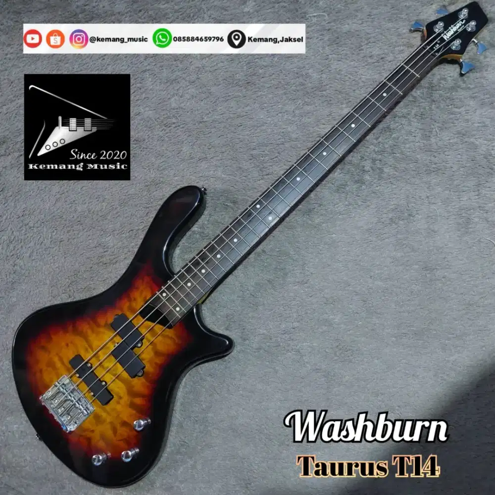 Washburn Taurus bass original precision jazz bass