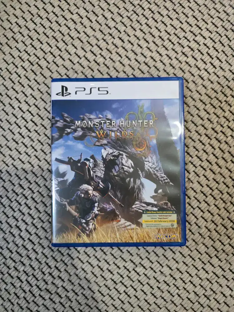 Monster Hunter Wilds PS5